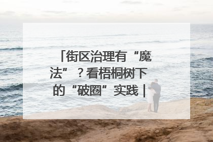 街区治理有“魔法”？看梧桐树下的“破圈”实践｜我在街区当书记