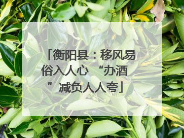 衡阳县：移风易俗入人心 “办酒”减负人人夸