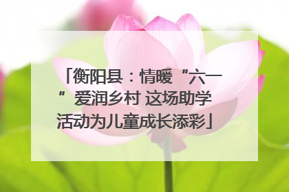 衡阳县：情暖“六一”爱润乡村 这场助学活动为儿童成长添彩