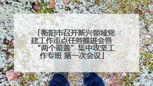 衡阳市召开新兴领域党建工作重点任务推进会暨“两个覆盖”集中攻坚工作专班 第一次会议