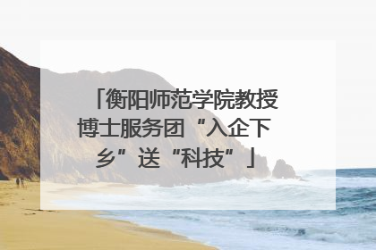 衡阳师范学院教授博士服务团“入企下乡”送“科技”