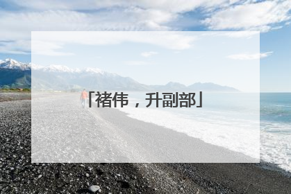 褚伟，升副部