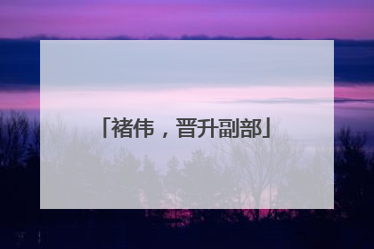 褚伟，晋升副部