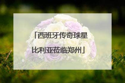 西班牙传奇球星 比利亚莅临郑州