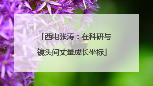 西电张涛：在科研与镜头间丈量成长坐标