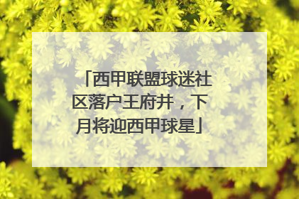 西甲联盟球迷社区落户王府井，下月将迎西甲球星