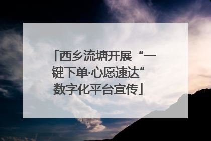 西乡流塘开展“一键下单·心愿速达”数字化平台宣传