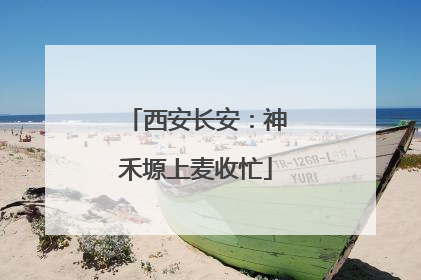 西安长安：神禾塬上麦收忙