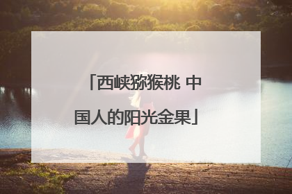 西峡猕猴桃 中国人的阳光金果
