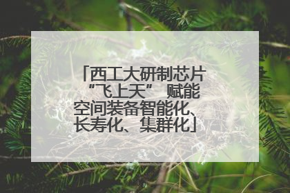 西工大研制芯片“飞上天” 赋能空间装备智能化、长寿化、集群化