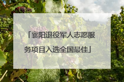 襄阳退役军人志愿服务项目入选全国最佳