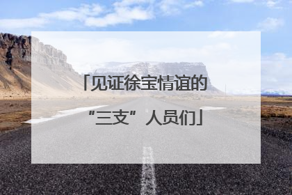 见证徐宝情谊的“三支”人员们