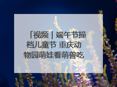 视频｜端午节撞档儿童节 重庆动物园萌娃看萌兽吃特色粽子大餐
