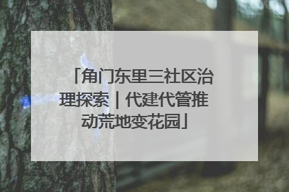角门东里三社区治理探索｜代建代管推动荒地变花园