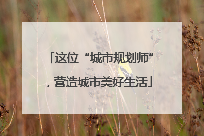 这位“城市规划师”，营造城市美好生活