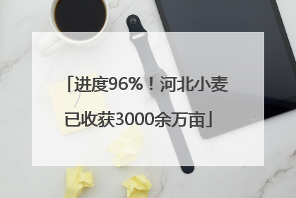 进度96%！河北小麦已收获3000余万亩