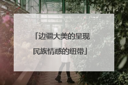 边疆大美的呈现 民族情感的纽带