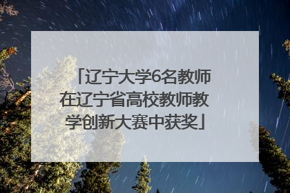 辽宁大学6名教师在辽宁省高校教师教学创新大赛中获奖