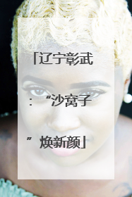 辽宁彰武：“沙窝子”焕新颜