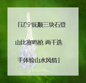 辽宁抚顺三块石登山比赛鸣枪 两千选手体验山水风情