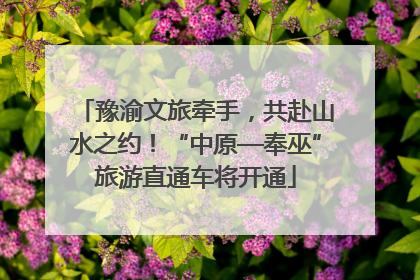 豫渝文旅牵手，共赴山水之约！“中原—奉巫”旅游直通车将开通