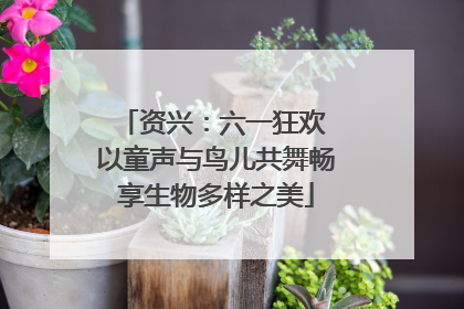 资兴：六一狂欢 以童声与鸟儿共舞畅享生物多样之美