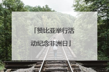 赞比亚举行活动纪念非洲日