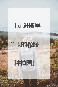 走进斯里兰卡的橡胶种植园