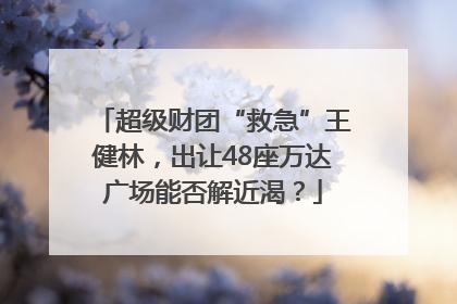超级财团“救急”王健林，出让48座万达广场能否解近渴？