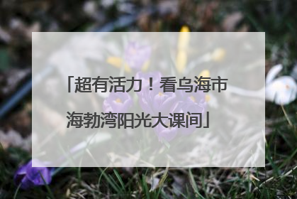 超有活力！看乌海市海勃湾阳光大课间