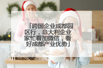 跨国企业成都园区行，意大利企业家忙着加微信，看好成都产业优势