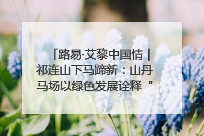路易·艾黎中国情｜祁连山下马蹄新：山丹马场以绿色发展诠释“两山”理论实践