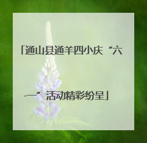 通山县通羊四小庆“六·一”活动精彩纷呈