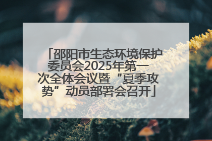 邵阳市生态环境保护委员会2025年第一次全体会议暨“夏季攻势”动员部署会召开