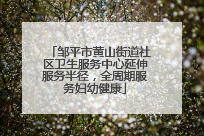 邹平市黄山街道社区卫生服务中心延伸服务半径，全周期服务妇幼健康