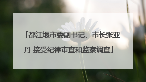 都江堰市委副书记、市长张亚丹 接受纪律审查和监察调查