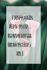 郑州局洛阳车务段：粽情相伴温馨旅客出行路