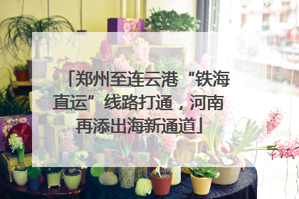 郑州至连云港“铁海直运”线路打通，河南再添出海新通道