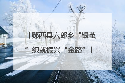 郧西县六郎乡“银茧”织就振兴“金路”