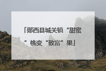 郧西县城关镇“甜蜜”桃变“致富”果