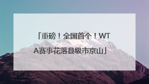 重磅！全国首个！WTA赛事花落县级市京山