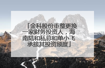 金科股份重整更换一家财务投资人，海南陆和私募和单小飞承接其投资额度