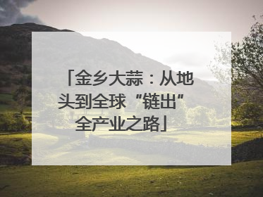金乡大蒜：从地头到全球“链出”全产业之路