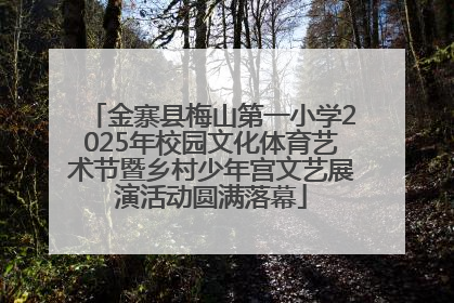 金寨县梅山第一小学2025年校园文化体育艺术节暨乡村少年宫文艺展演活动圆满落幕