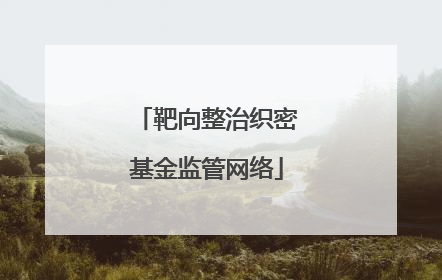 靶向整治织密基金监管网络