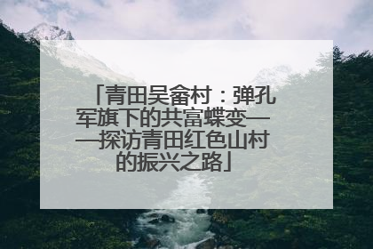 青田吴畲村：弹孔军旗下的共富蝶变——探访青田红色山村的振兴之路
