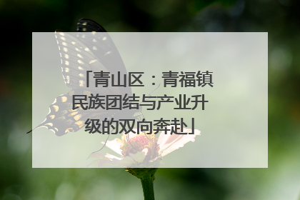 青山区：青福镇民族团结与产业升级的双向奔赴