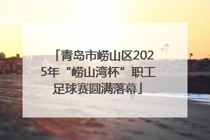 青岛市崂山区2025年“崂山湾杯”职工足球赛圆满落幕