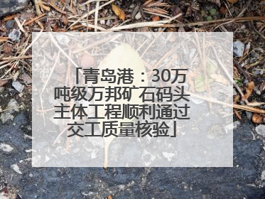 青岛港：30万吨级万邦矿石码头主体工程顺利通过交工质量核验
