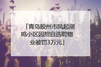 青岛胶州市凤起潮鸣小区因擅自选聘物业被罚3万元